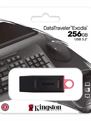 Memoria USB, 256GB, 3.2 Gen 1, Negro/Ros