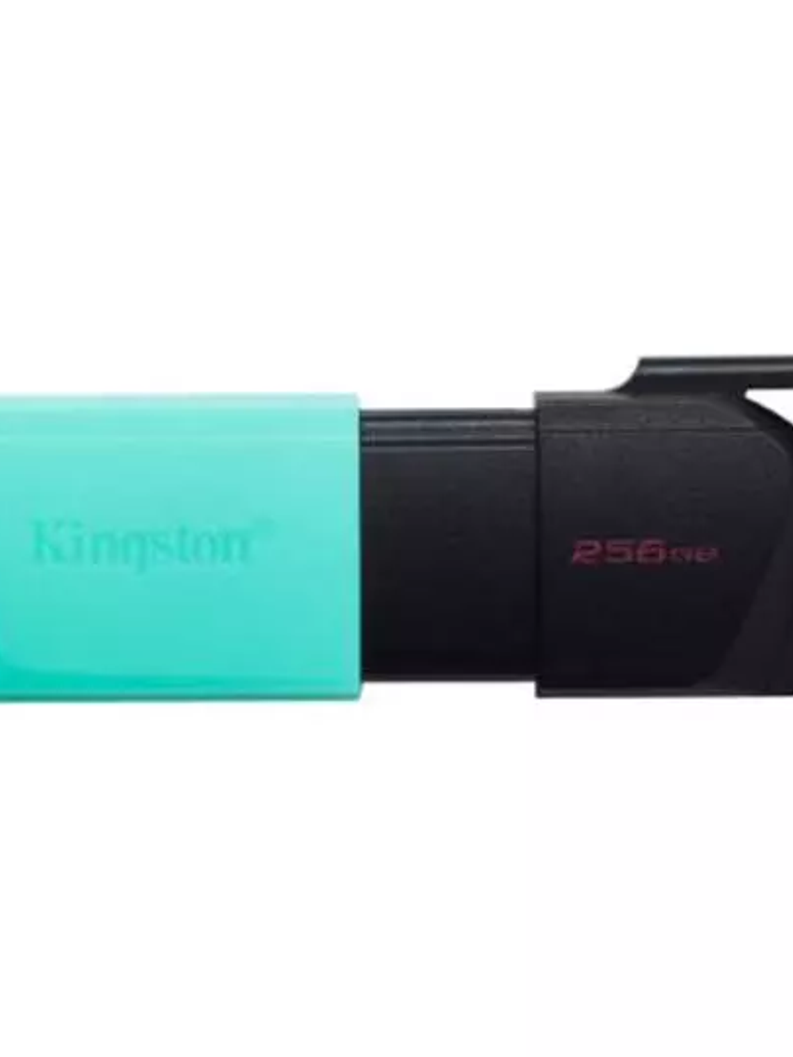 Memoria Flash Kingston 256GB USB 3.2 Gen 1