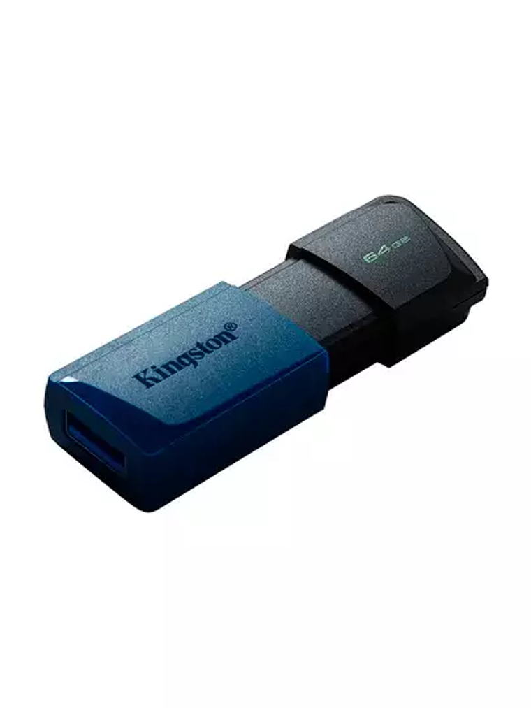 Memoria USB Kingston Datatraveler Exodia 1