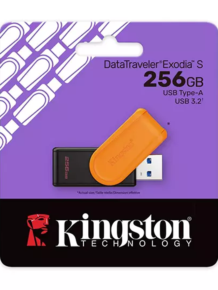 Kingston usb 256 GB data traveler exodia 1