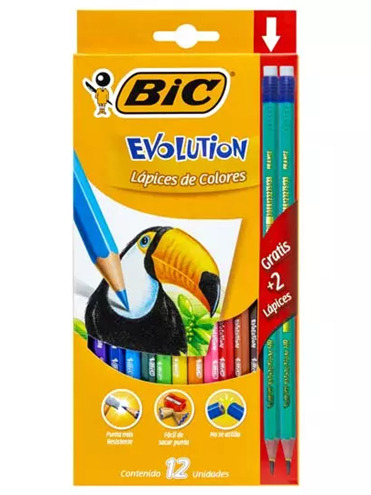 Colores BIC Evolution caja con 12 colore 1