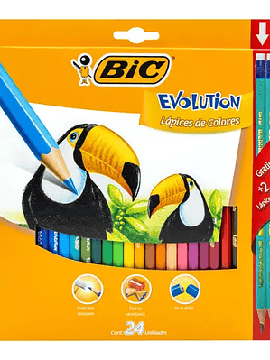 Colores BIC Evolution caja con 24 colore