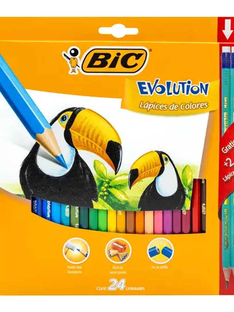 Colores BIC Evolution caja con 24 colore 1