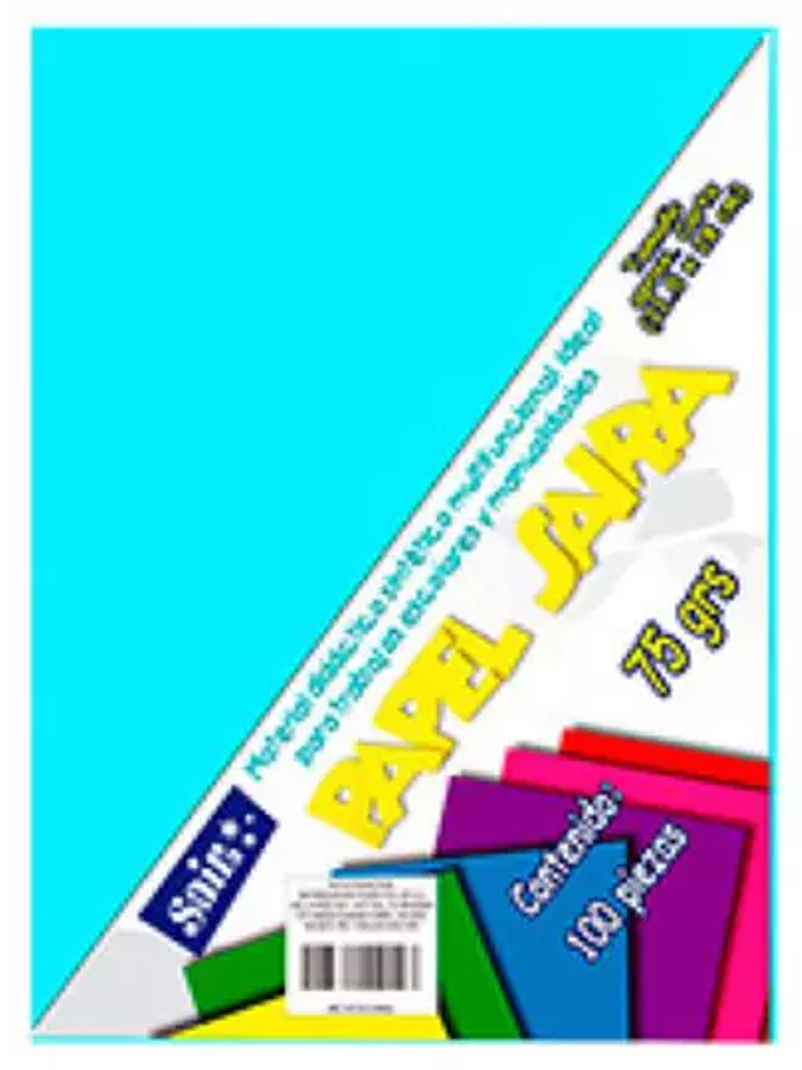 Paquete de hojas de color saira tamaño c 1