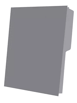 Folder de color Pendaflex carta color gr