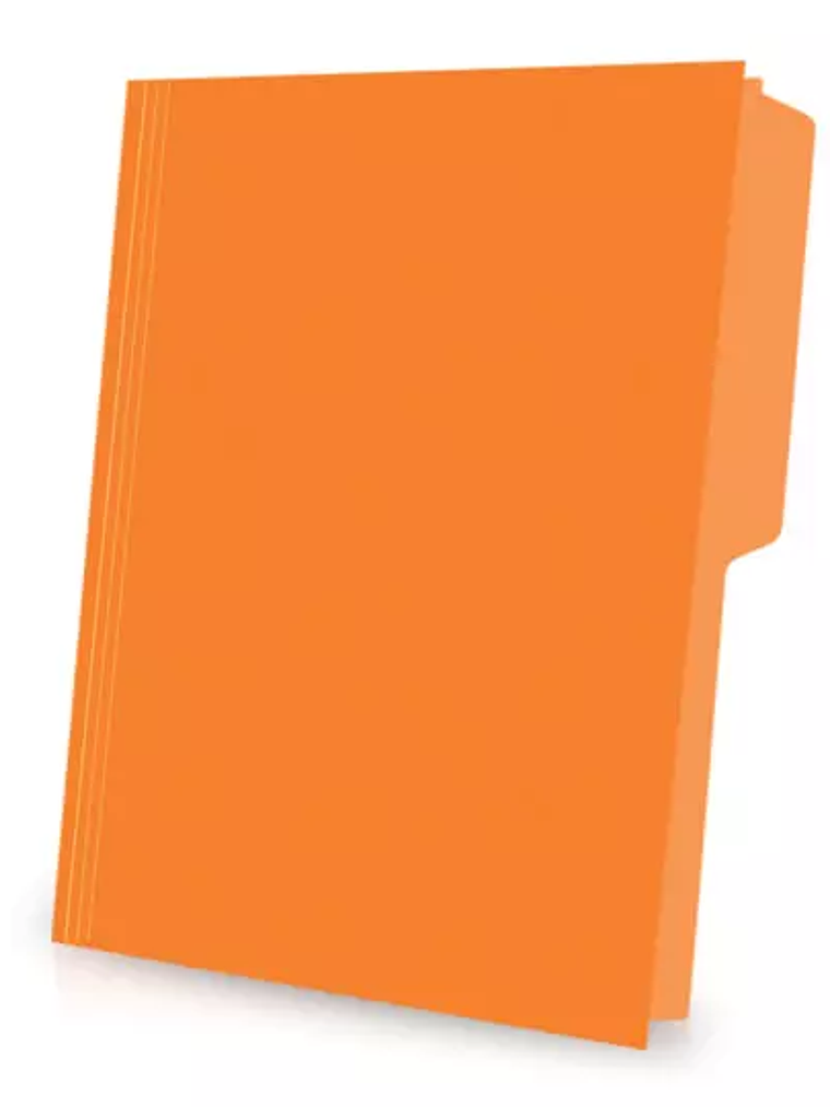 Folder de color Pendaflex carta color na 1