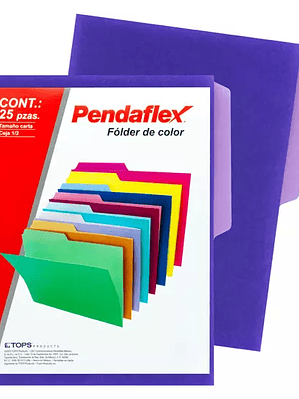Folder de color Pendaflex carta color vi