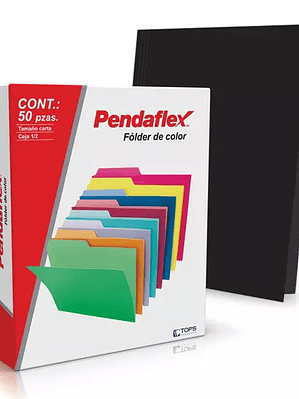 Folder de color Pendaflex carta color ne