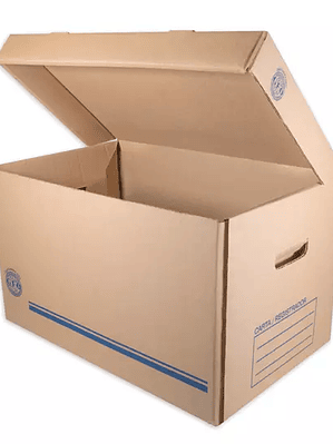 Caja de archivo GEO kraft para registrad