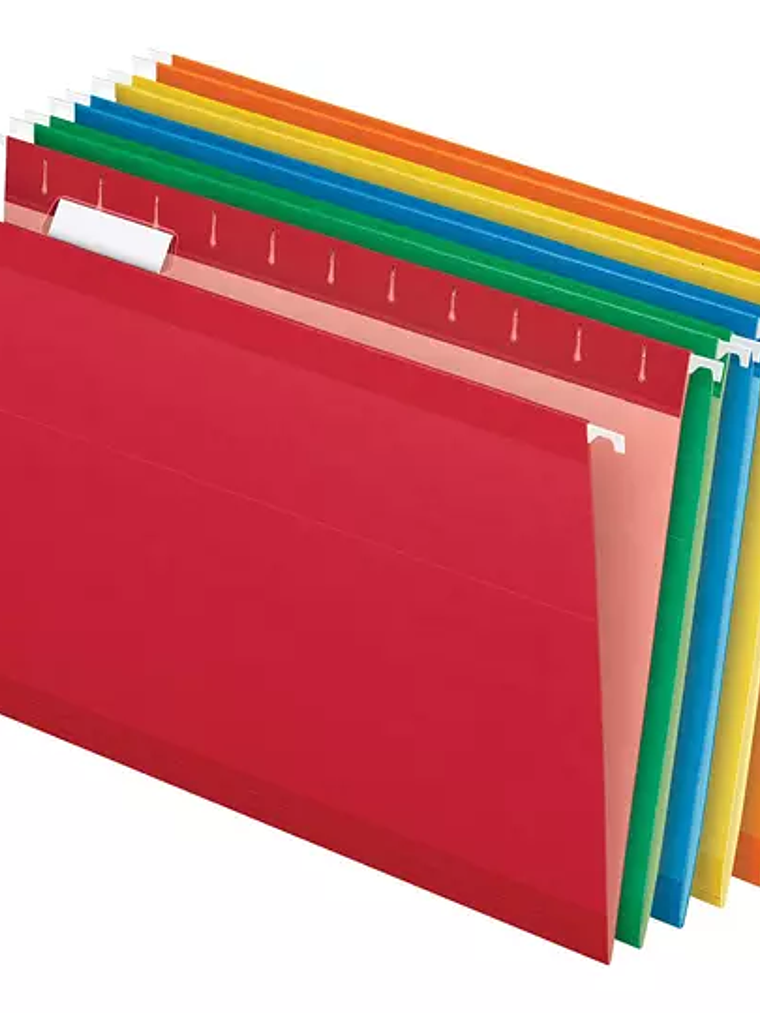 LM-Folder colgante Pendaflex carta color 1