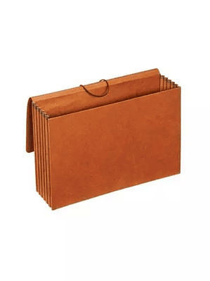 Cartera expandible Globe-Weis oficio paq