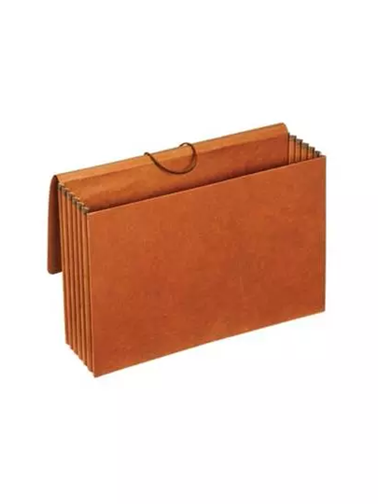 Cartera expandible Globe-Weis oficio paq 1