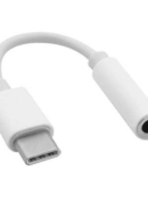 Convertidor Brobotix USB tipo c a audio