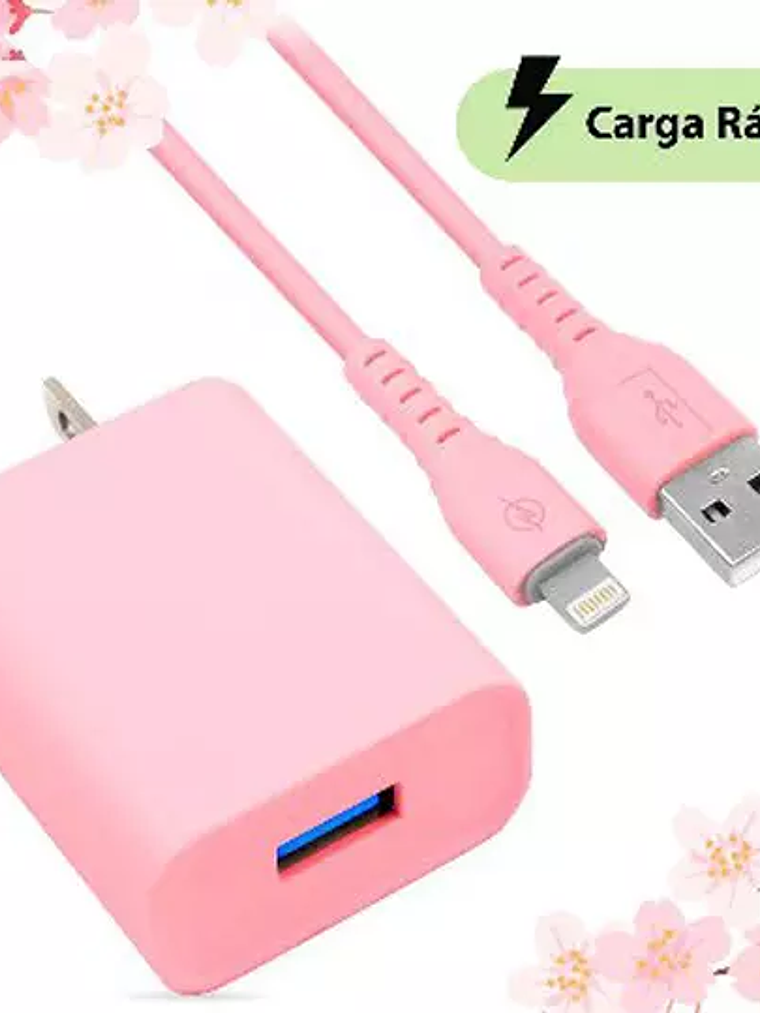 Cargador USB Brobotix combo y cable ligh 1