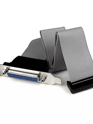 Adaptador Startech 40cm.