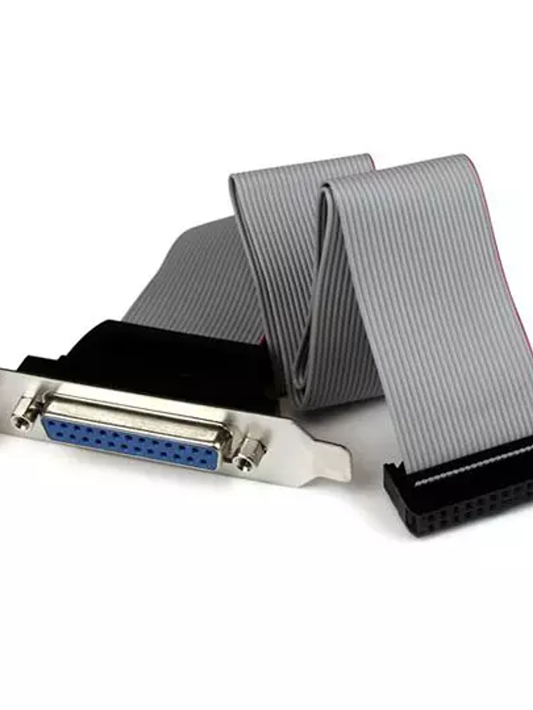 Adaptador Startech 40cm. 1