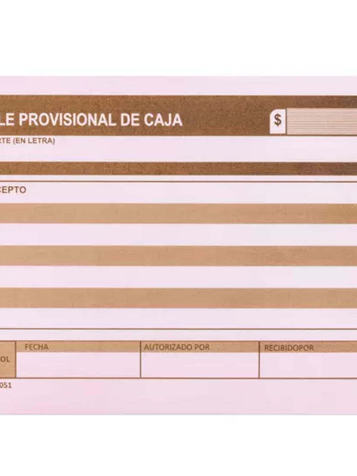 Vale provisional de caja Pinos Altos blí 1