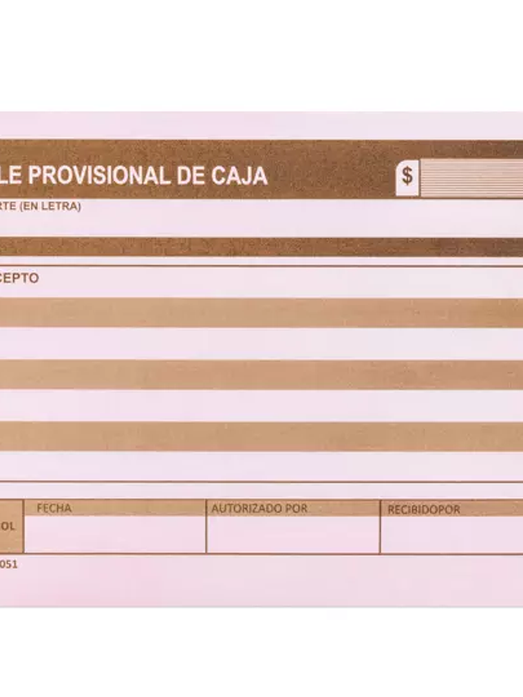 Vale provisional de caja Pinos Altos blí 1