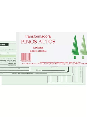 Pagare Pinos Altos block con 100 hojas