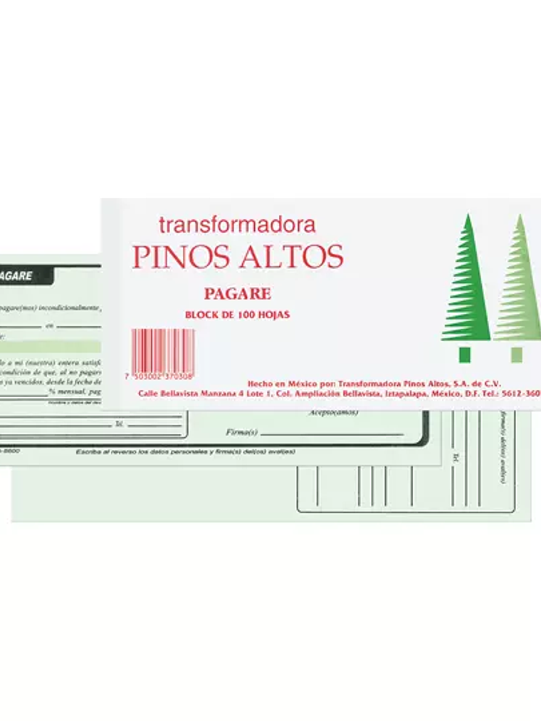 Pagare Pinos Altos block con 100 hojas 1