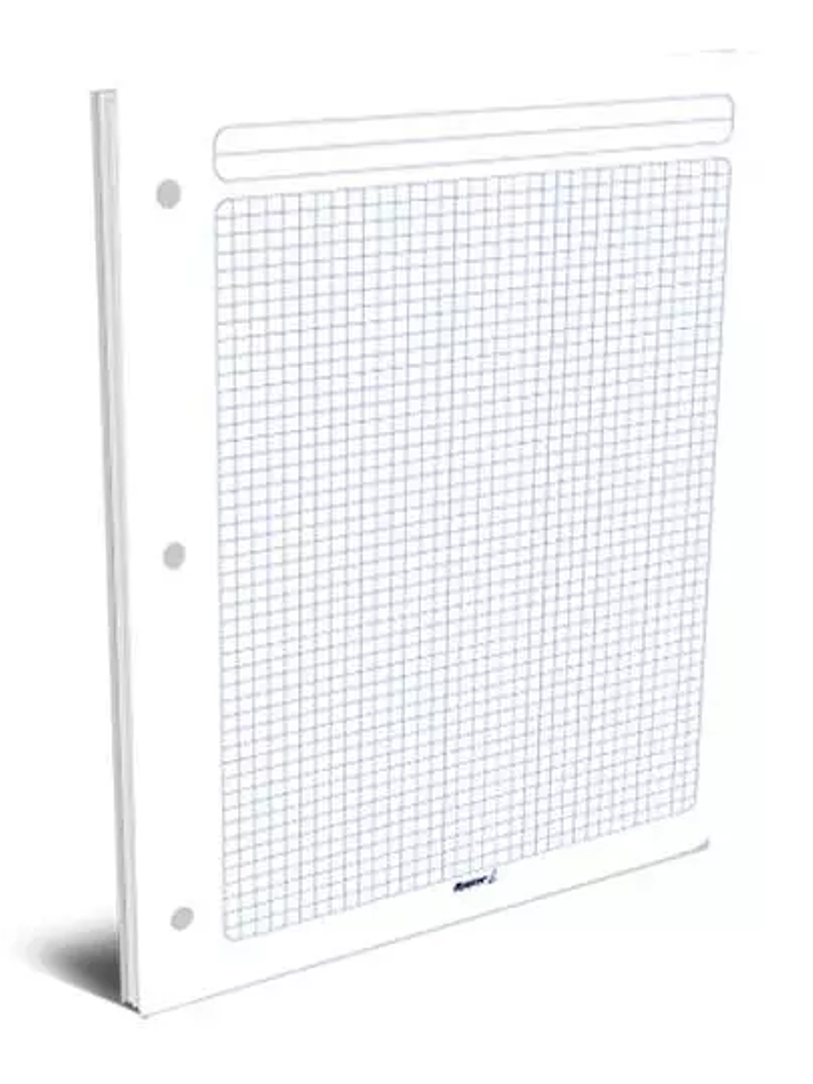 Hojas de repuesto para carpeta Rayter, c 1