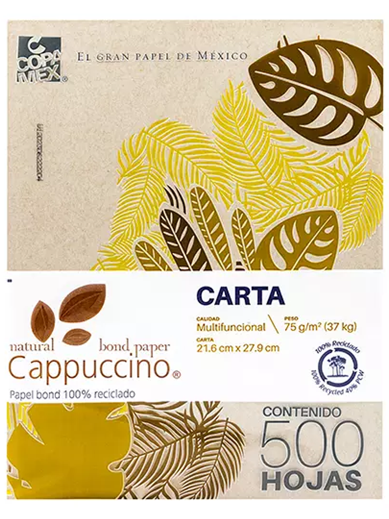 Resma de papel Cappuccino 100% reciclado 1