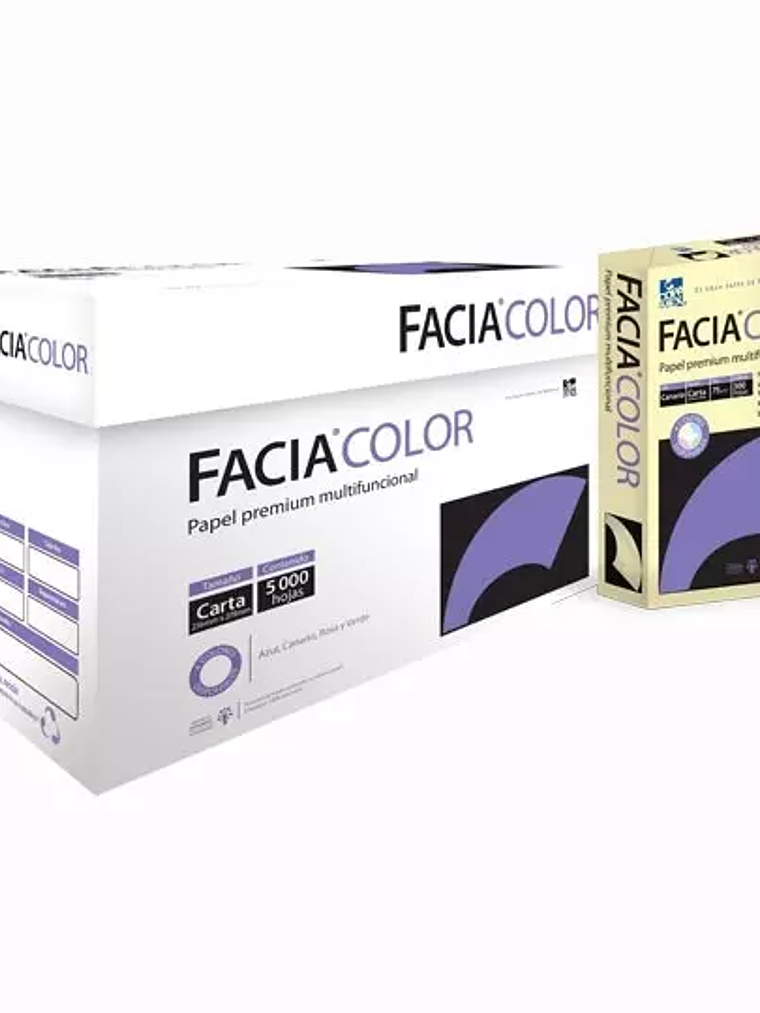Caja de papel bond Facia Color tamaño ca 1
