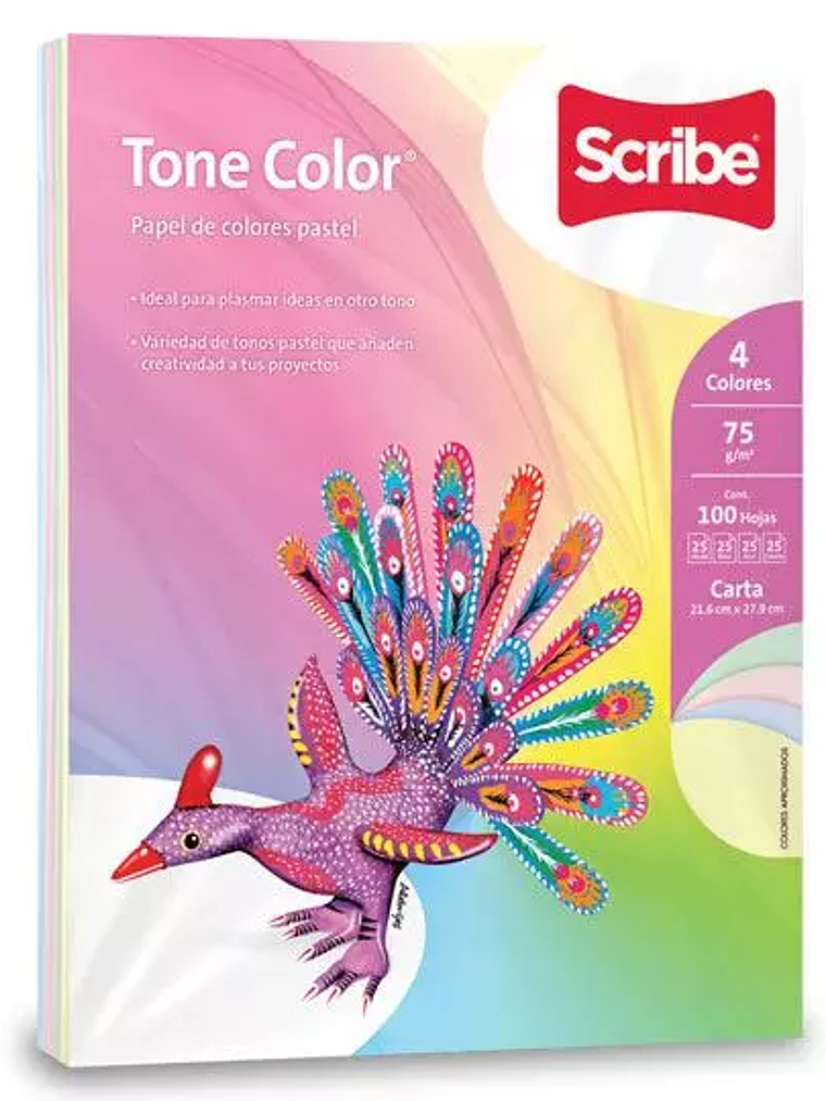 Paquete de hojas de color Tone Color Scr 1