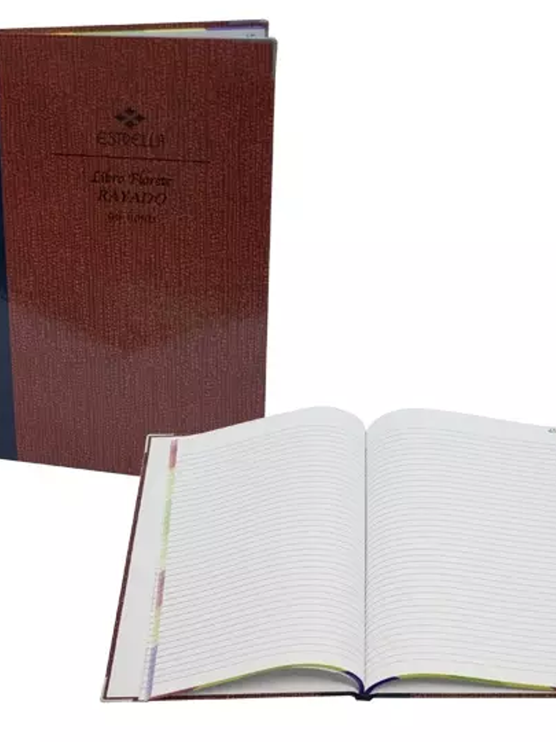 LIBRO FLORETE FORMA FRANCESA RAYA 1