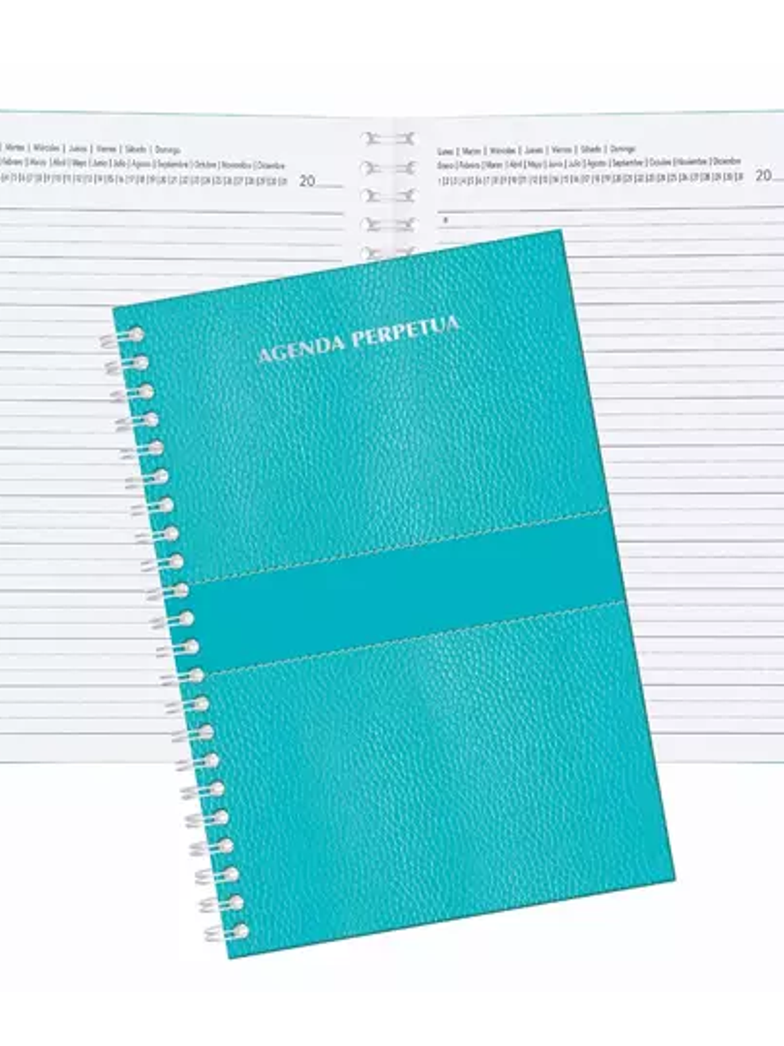 Agenda perpetua Pinos Altos color azul p 1