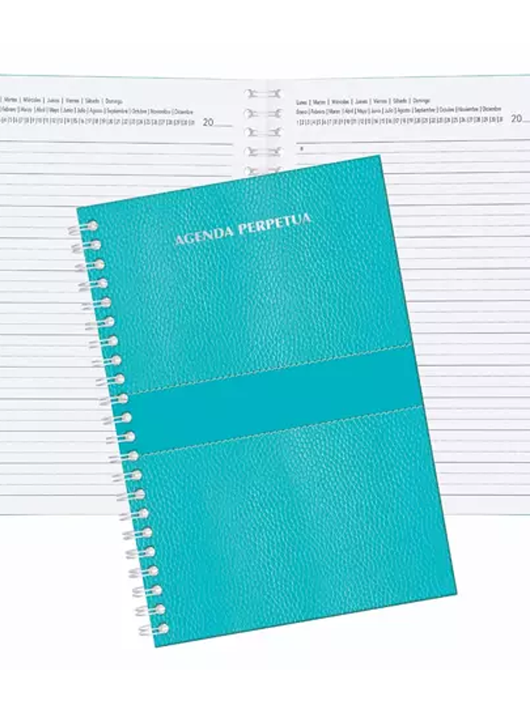 Agenda perpetua Pinos Altos color azul p 1