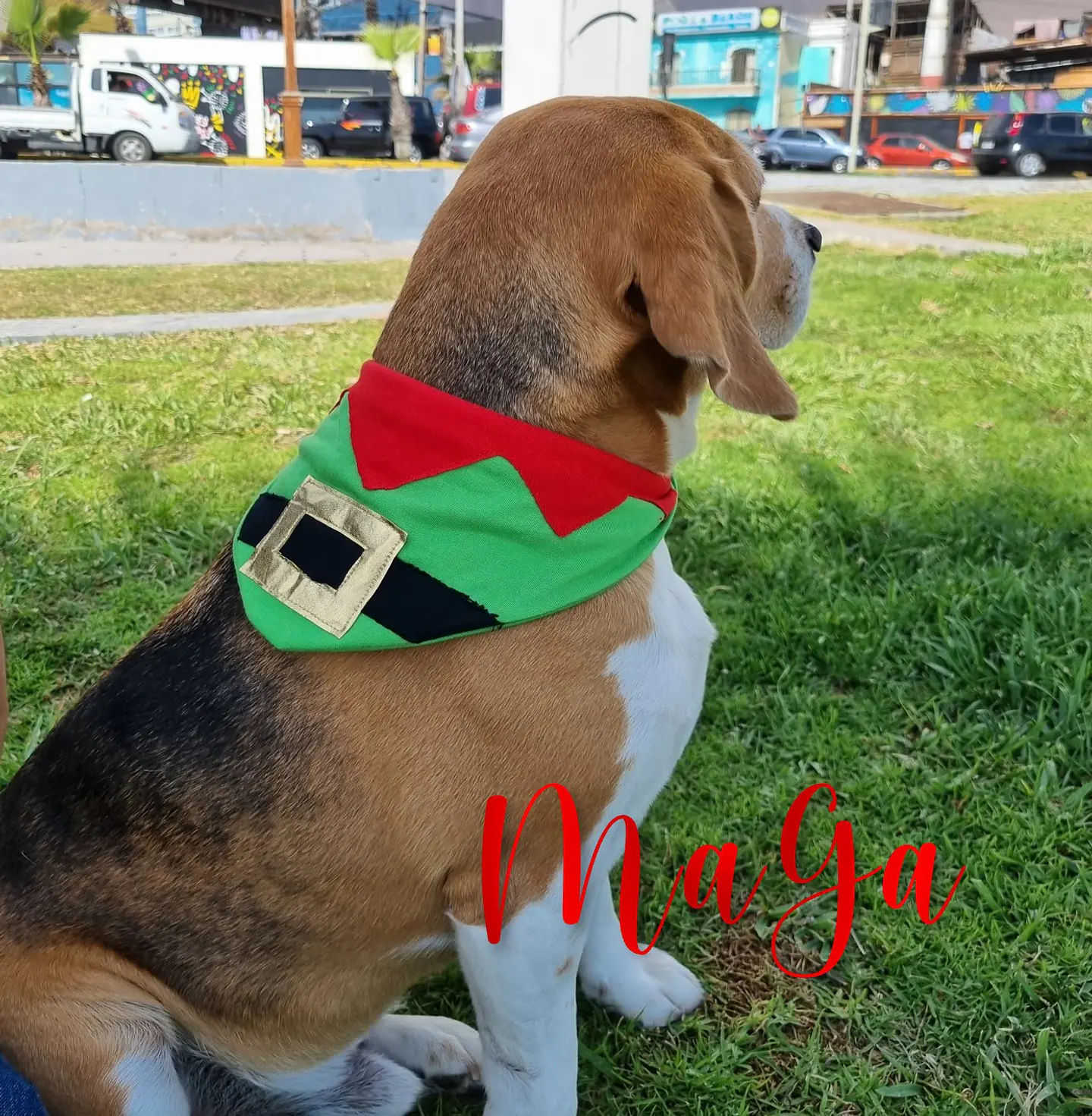 Bandanas Navideñas 3