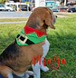 Bandanas Navideñas - thumbnail 3
