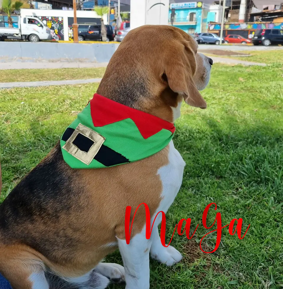 Bandanas Navideñas 3