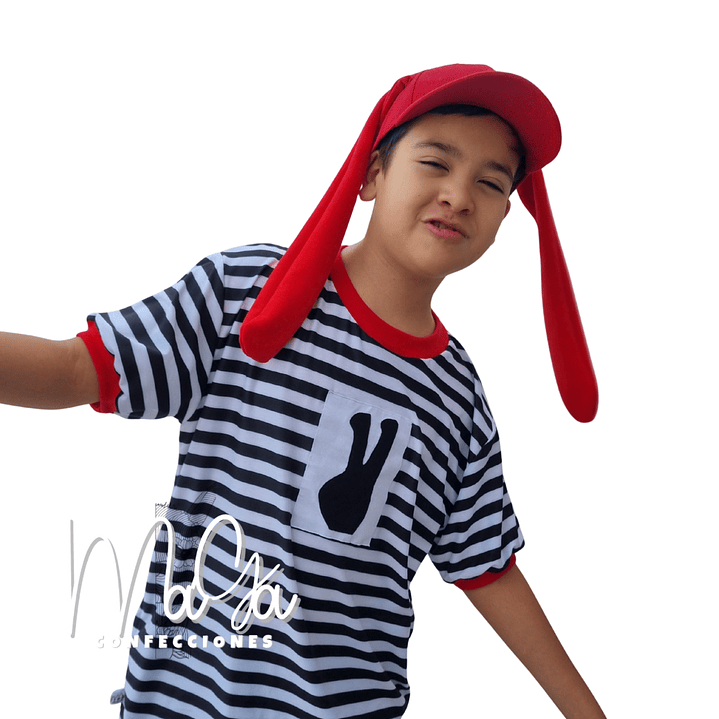 Polera + gorro inspirado en Bodoque 1