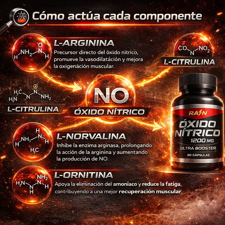 Óxido Nítrico Ultra Booster 1200 mg – Suplemento Deportivo Rain (60 cápsulas) 3