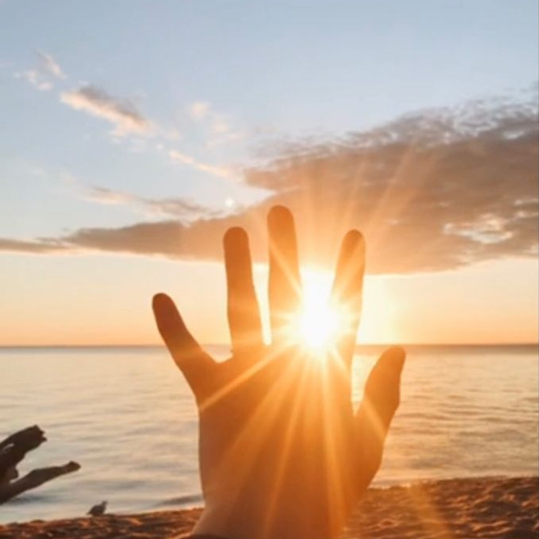 Integración de aprendizajes del viejo año 1