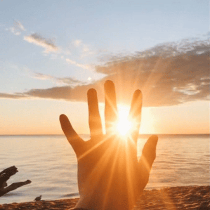 Integración de aprendizajes del viejo año 1