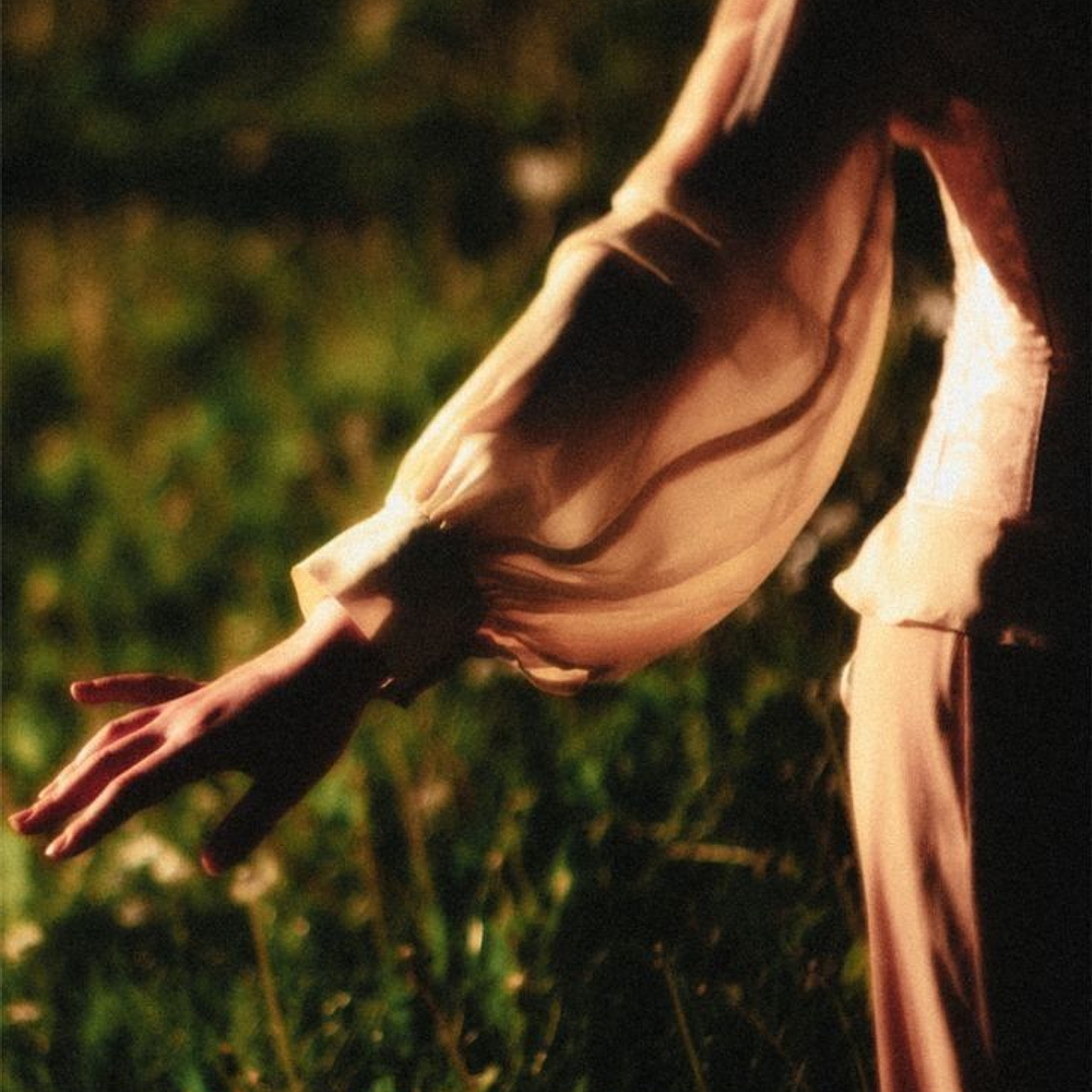 Siembra & Cosecha Solar 1