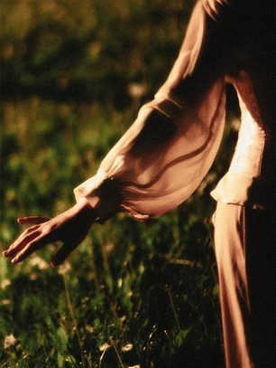 Siembra & Cosecha Solar