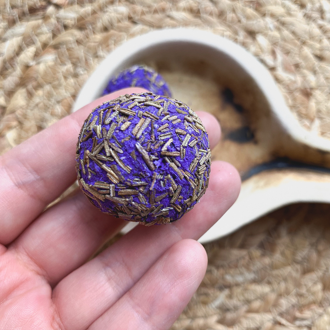 Bombita Limpieza Aurica 1