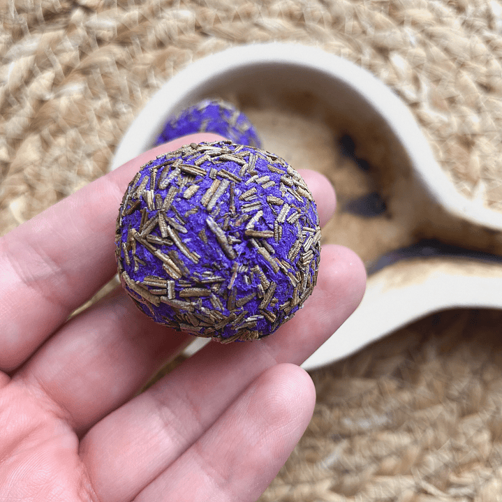 Bombita Limpieza Aurica 1