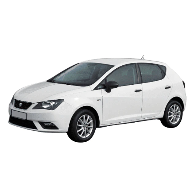 Seat Ibiza 6J