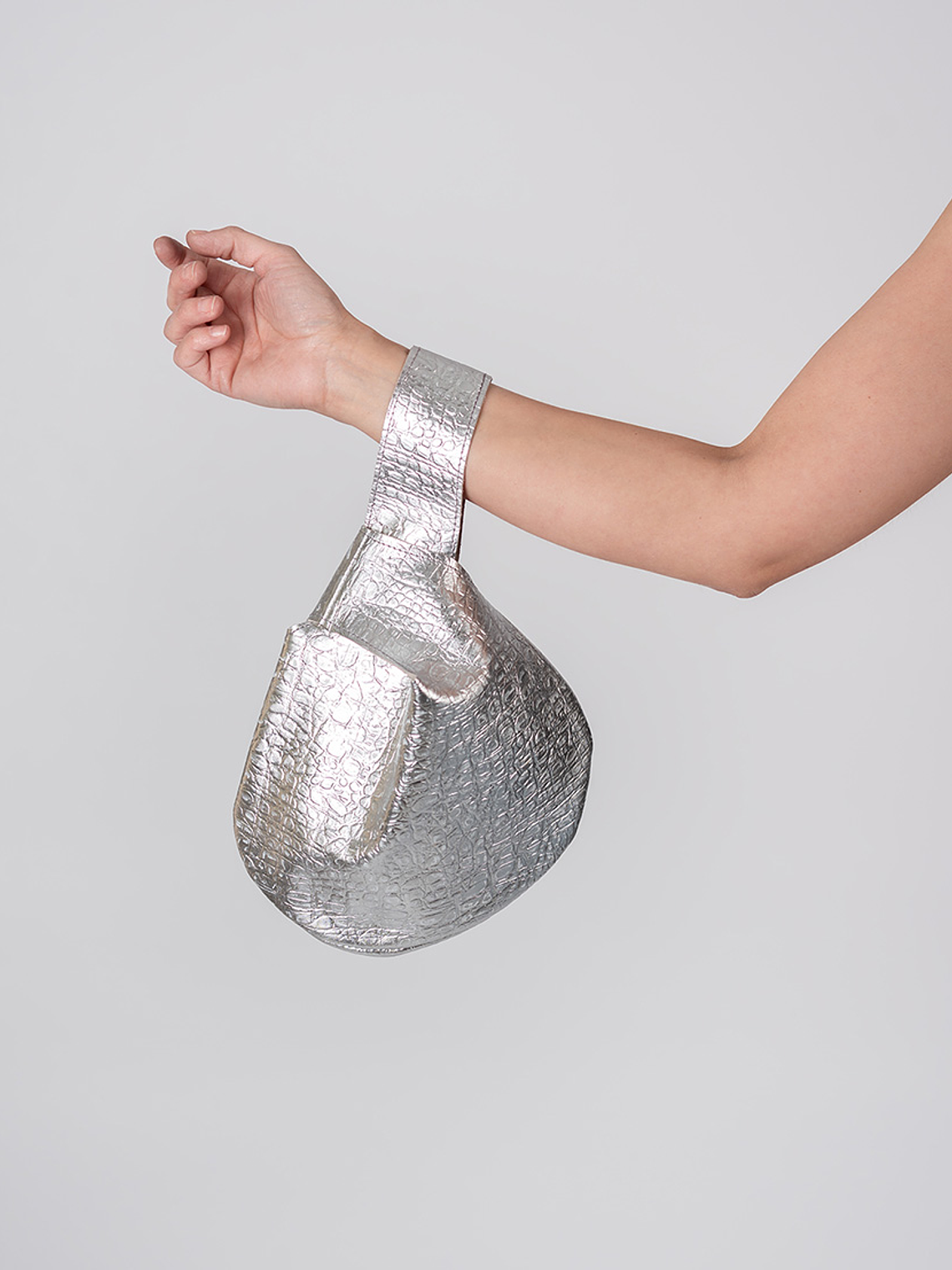 Cartera Isidora Silver 1