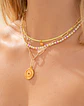 Collar Vibras - Miniatura 2