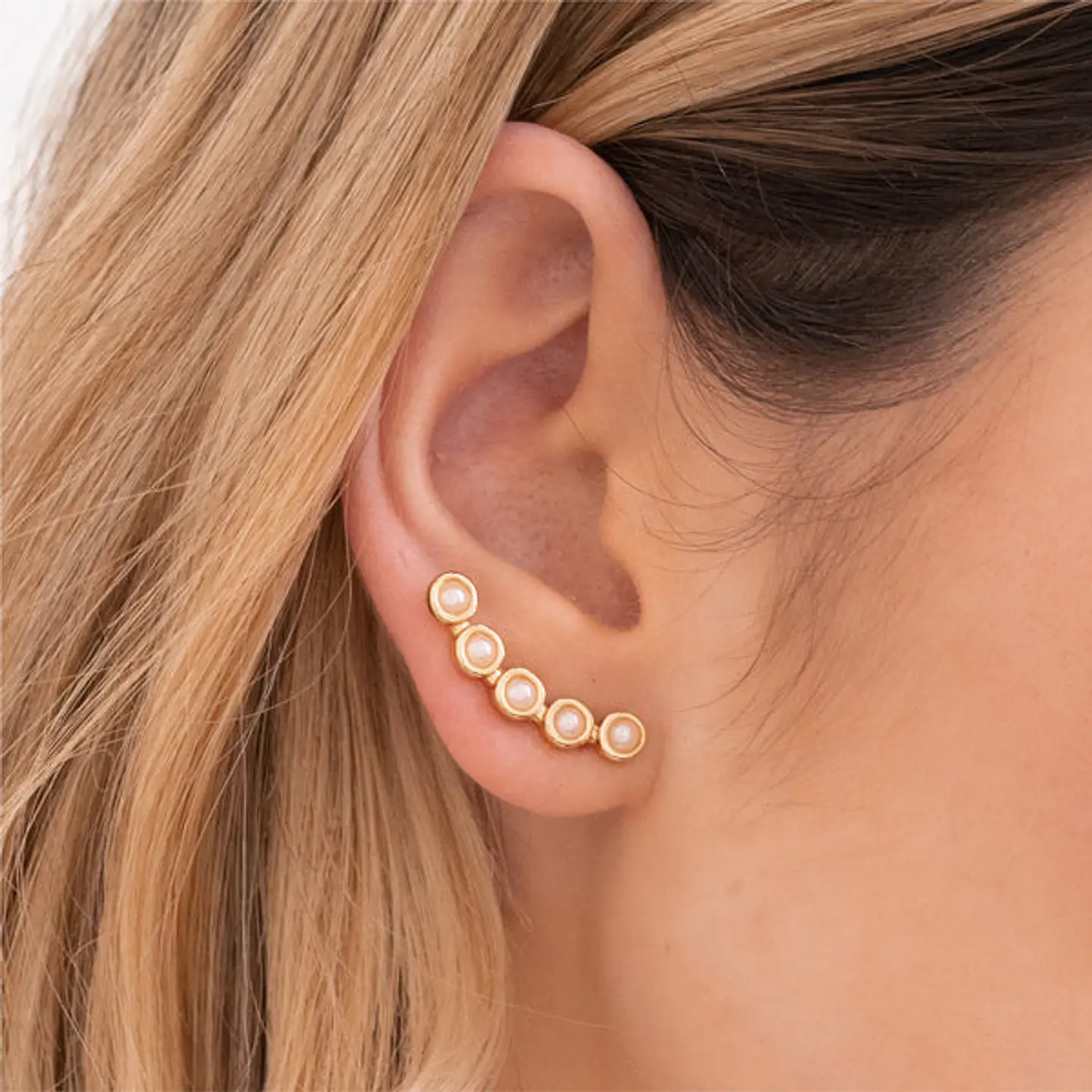 Aros Multiperlitas  1