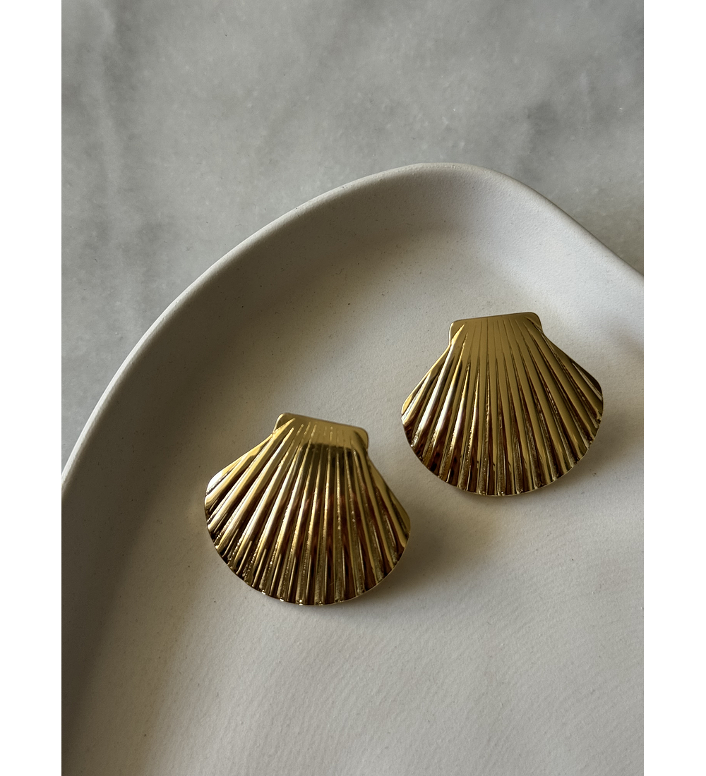 Aros Conchitas de mar