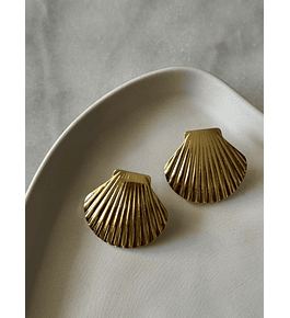 Aros Conchitas de mar