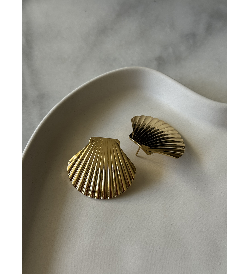 Aros Conchitas de mar