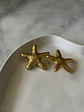 Aros Estrellas de Mar - Miniatura 2